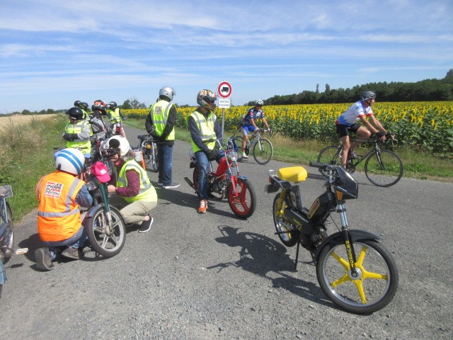 Halte champêtre