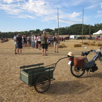 Mob champêtre