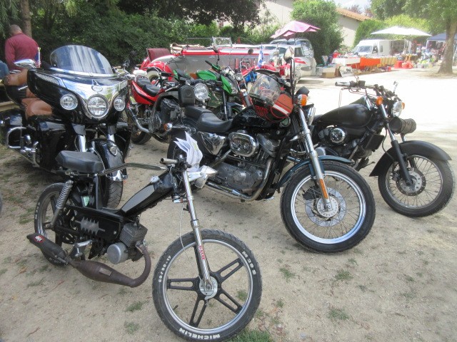 Petite soeur rebelle