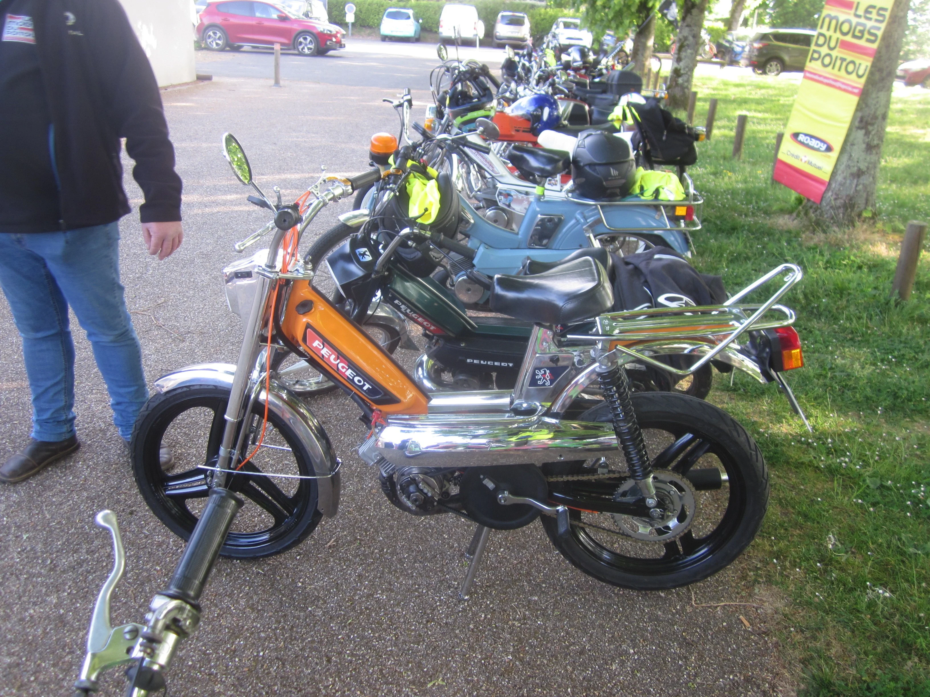 Img 7615