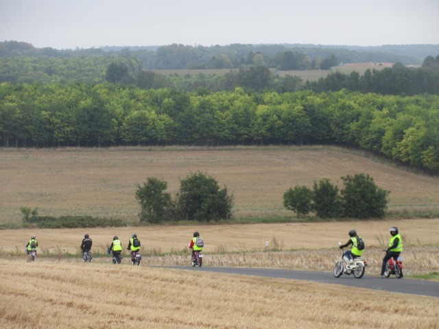 Mobs champêtres