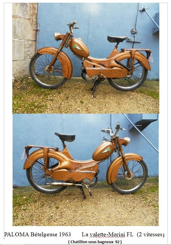 Paloma betelgeuse 1963